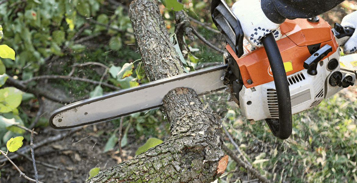 LC Tree Services